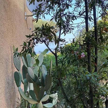 Cassetta 92 Marie-pierre Lumio (Corsica)
