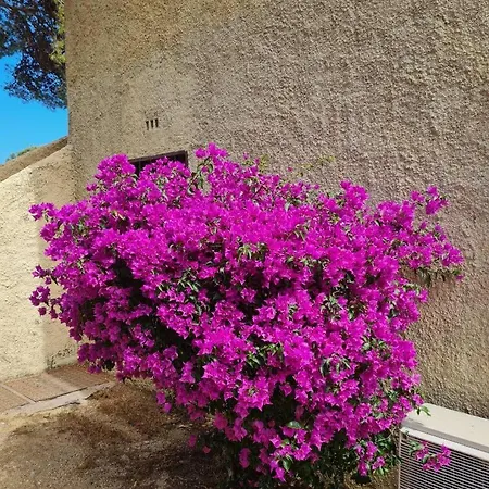 Cassetta 92 Marie-pierre 公寓