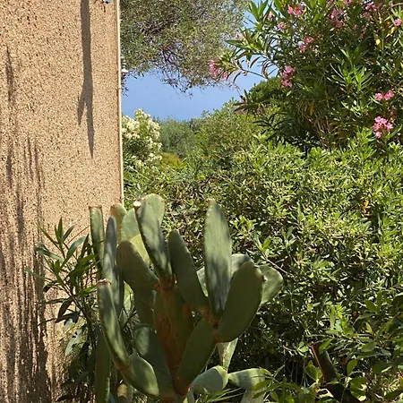 Cassetta 92 Marie-pierre 公寓