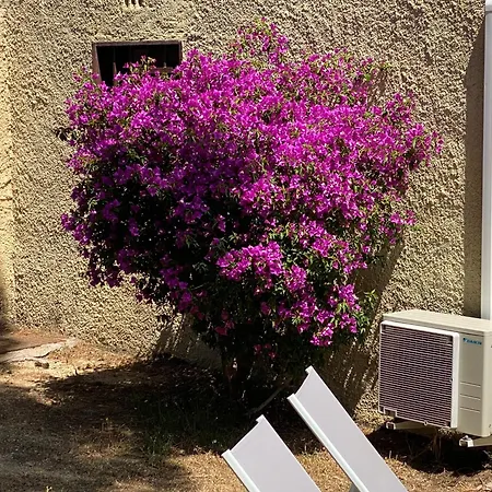 Cassetta 92 Marie-pierre 公寓 卢米奥