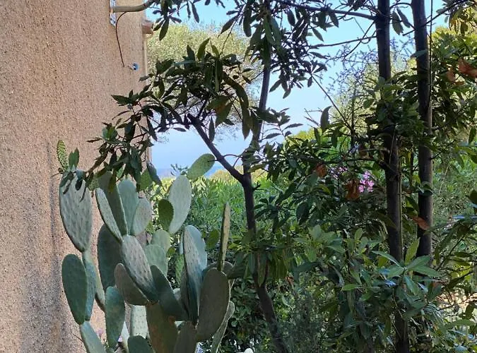 Cassetta 92 Marie-pierre Lumio (Corsica)