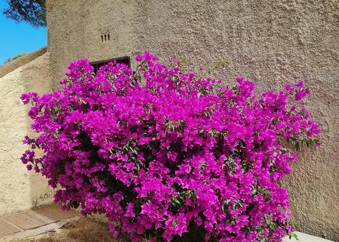 Cassetta 92 Marie-pierre Appartement